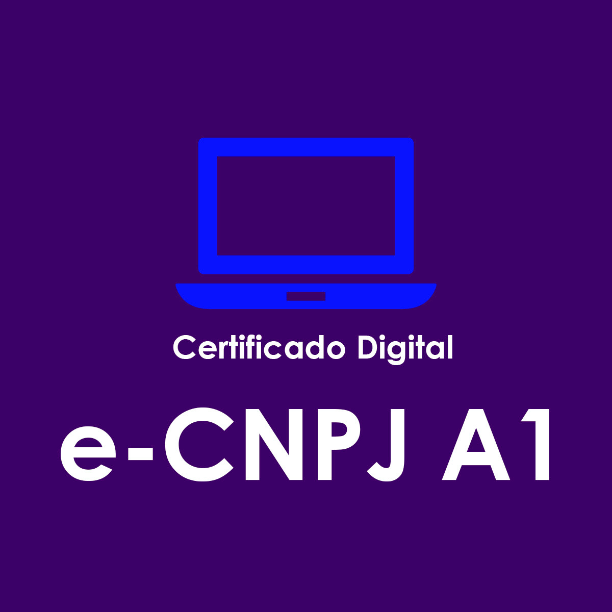 e-CNPJ A1